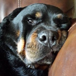 Meet your Posher, Jan